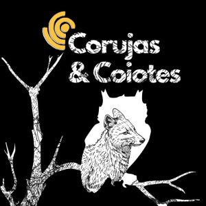 Corujas & Coiotes (no campo)